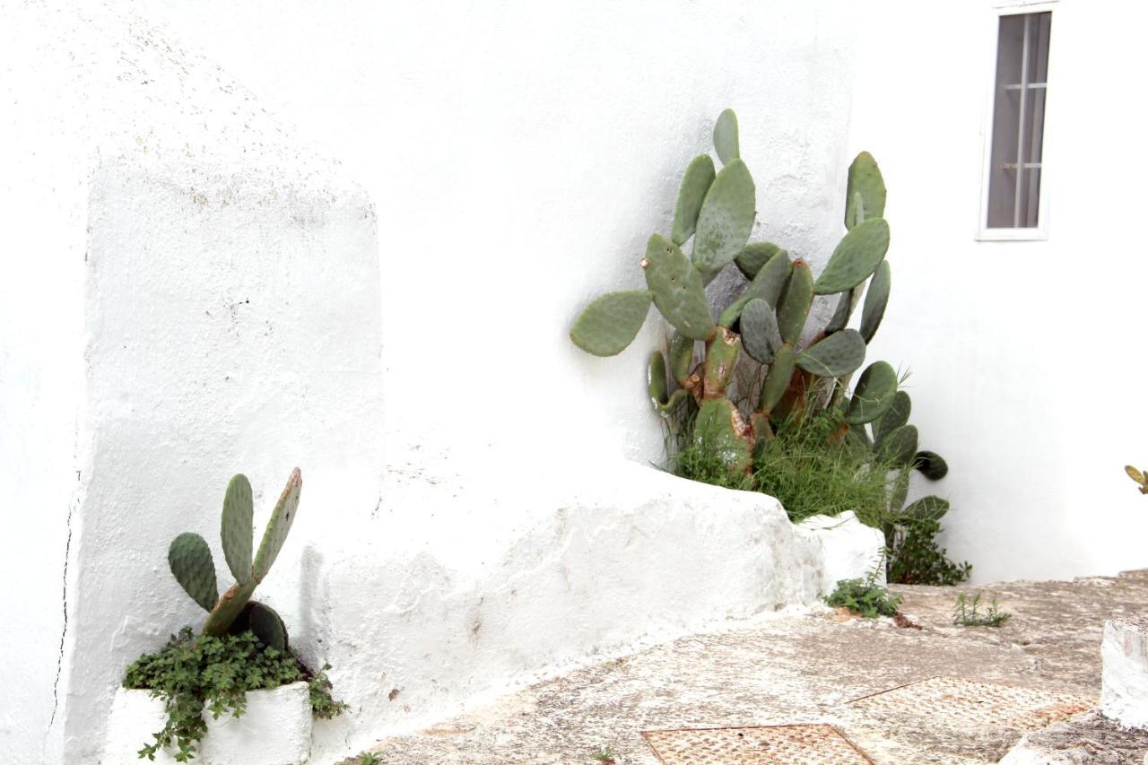 Monolocale Ilporticciolovacanze Villanova di Ostuni Zewnętrze zdjęcie